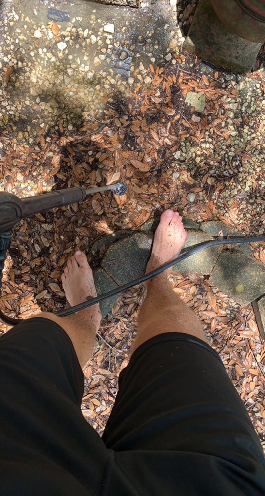 come serve me pigs 🐷