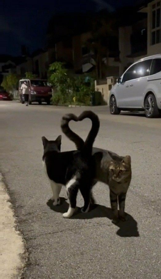 whosluvs's tweet photo. could be us https://t.co/NMyxqqXFPW