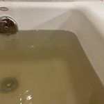 NY四つ星ホテルのお湯が都心の川。入浴したくない濁った色に衝撃。