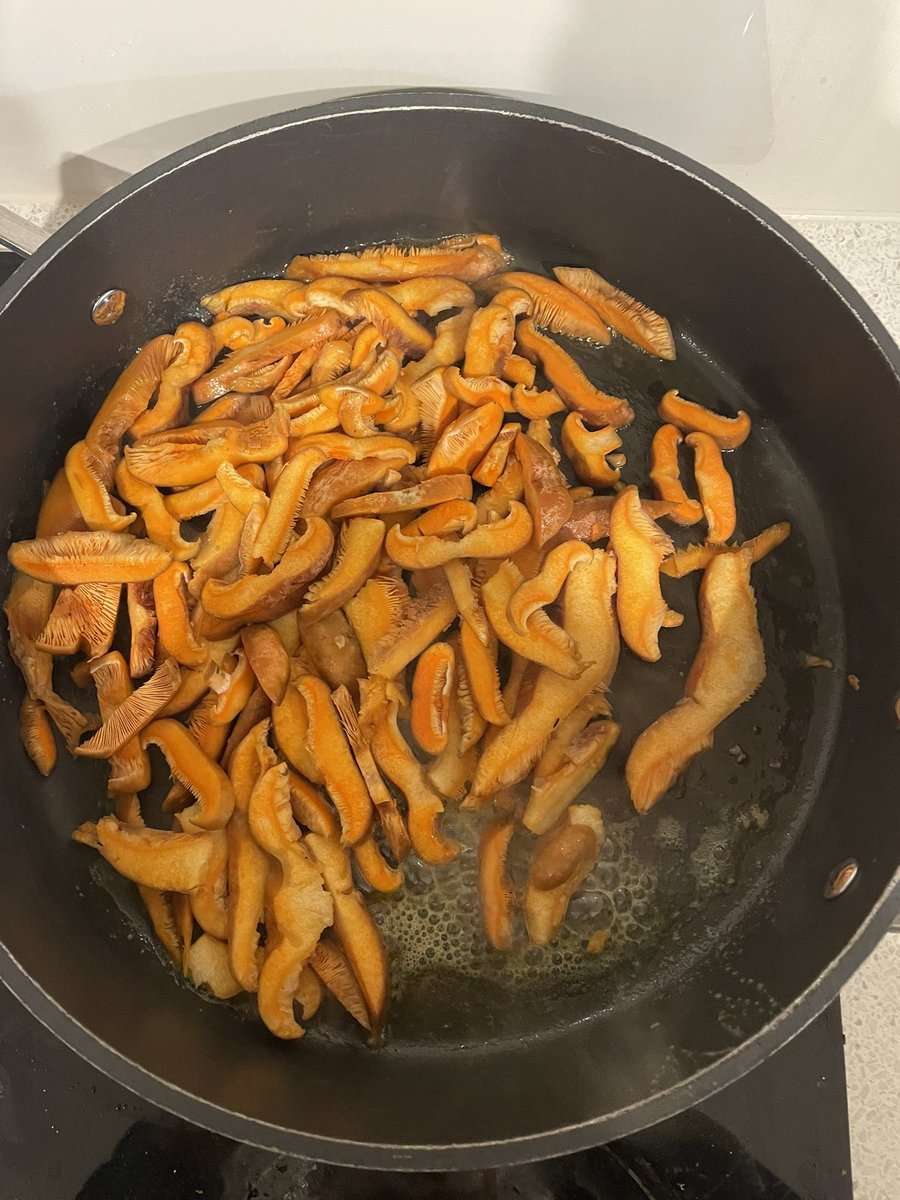AngusMitchell16's tweet image. Sunday morning #mushroom foraging in the #AdelaideHills turned grilled pine mushroom toasties for lunch