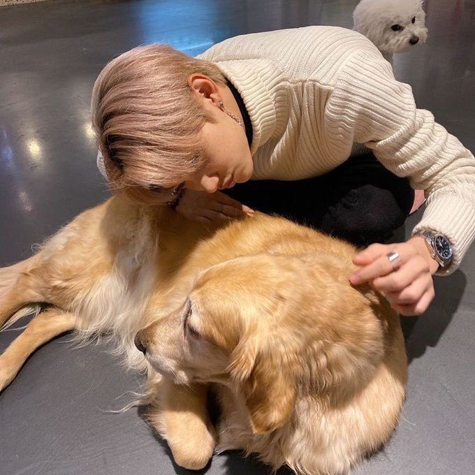 chewy the audacity not to greet your dad happy father's day??
