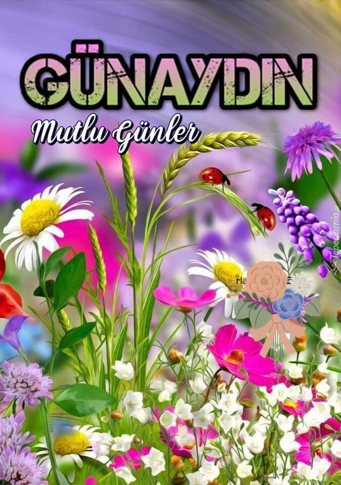 Nurse ✍️
@Rinasonc
<a href="/_rf05/">🖌️R. Atalay</a>
@1kbi_
<a href="/Chaly751/">Timur Selçuk</a> 
@1kralim
@turknetli 
@Duonva
@yagmur1cicegi
@drYasser74
<a href="/TlayAnl1903/">TüL🅰️y</a>
@1Asiay
 <a href="/CSertbolat/">Cengiz SERTBOLAT🇹🇷</a>
<a href="/pnrvdt1/">pnr</a>
@1ahal1
<a href="/Aziza67471601/">🇹🇷🇦🇿 Aziza Barış 🇦🇿🇹🇷</a>
<a href="/bnuring/">Büşra</a>
<a href="/PRani_7/">Professor Sundas (I Stand With Civil Supremacy)</a>
<a href="/aliglds/">aliglds</a>
<a href="/_bir63/">Mehmet</a>
<a href="/muGSFA/">muGSfa</a>
<a href="/CSertbolat/">Cengiz SERTBOLAT🇹🇷</a>
@90AYDD
<a href="/Ceylo_1/">Ceylin</a>
<a href="/63O06/">®️€M⭕ 🗣️📣 Gt VAR</a>
<a href="/Pilcure/">Die sklavinnen greta</a>
<a href="/SkylerFleur/">254K✨✹ irene ✹✨➐</a>
<a href="/Czg57/">TC.CAN</a>