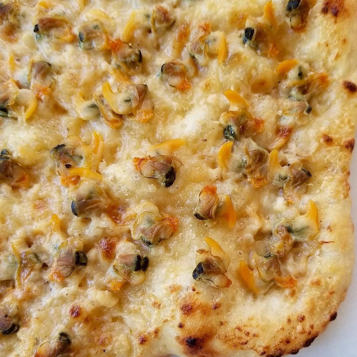 barharborfoods's tweet photo. Dad deserves to be happy as a clam this weekend! #FathersDayWeekend #ClamPizza #BarHarborFoods #Seafood https://t.co/145yrkzK2c
