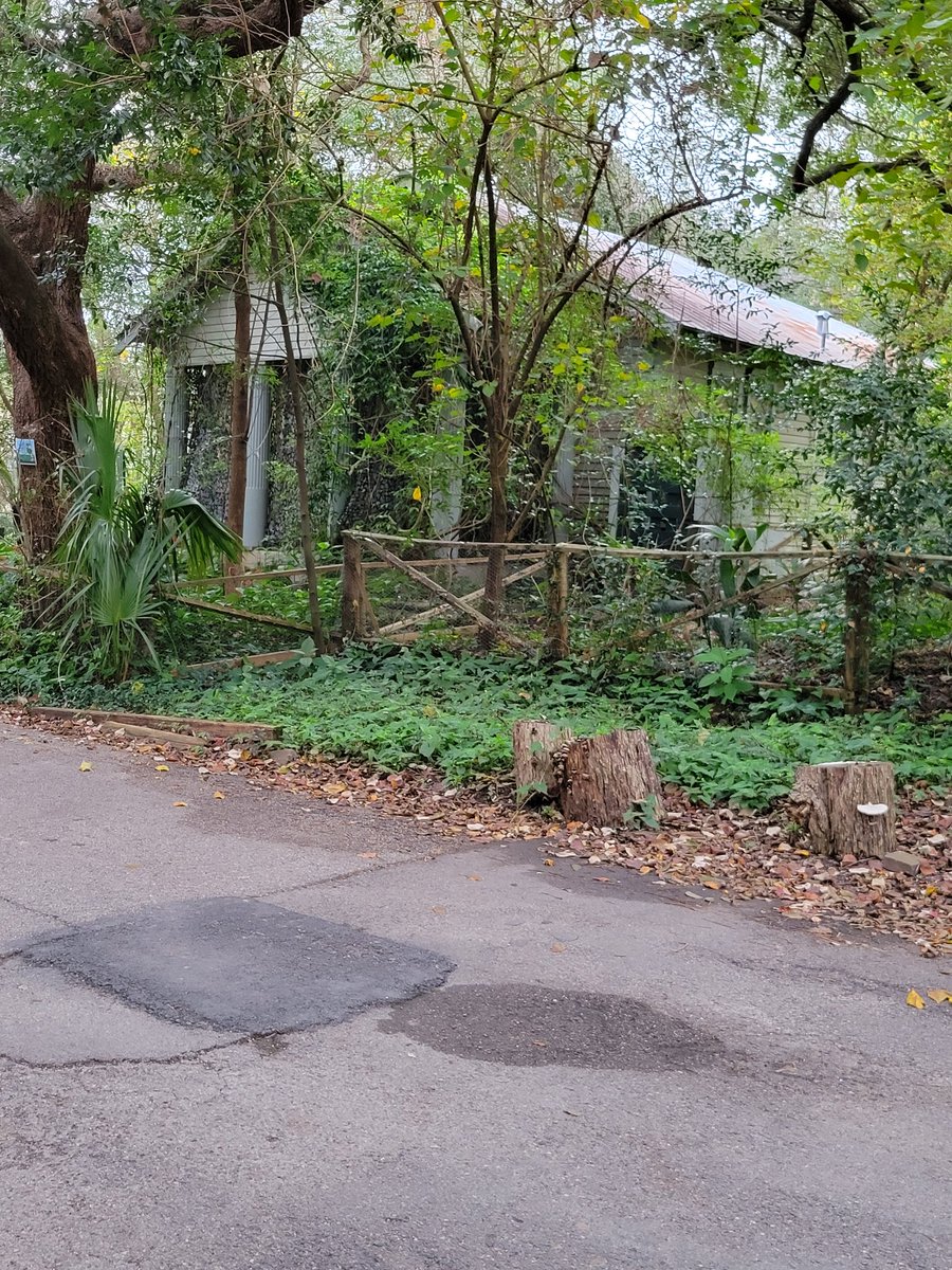 tul980's tweet photo. In @HoustonTX we found this abandoned property in the middle of a nice residential apartment area.  The local owners have to look at this every day. Notice how officials just declare it a "Wildlife Habitat" to justify not cleaning it up. Who's in charge? #fixerupper https://t.co/LTpDjIplOU