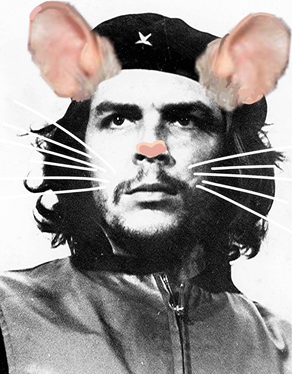 gayveryavery's tweet photo. No context #bcbparty edits that I have made https://t.co/IXqytpXhUn