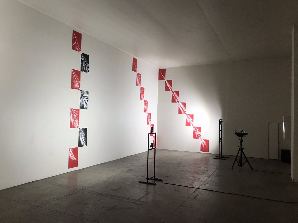 raimundoedwards's tweet photo. Exposición ANDAR en Matucana 100 https://t.co/2oFUVtVhFJ