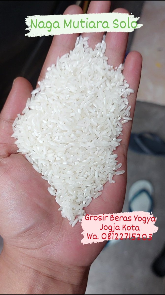 Asli enak lur. Bukan abal abal. Beras naga mutiara solo asli. Ready berbagai macam beras. Harga mulai Rp. 8rb per kg. Lok. Jogja kota. Wa. 08122715203. #berasjogja #grosirberasyogya #sinarmutiaraberas #jualberasjogja #sembakojogja #nasiboxjogja #cateringjogja #berasmurahjogja