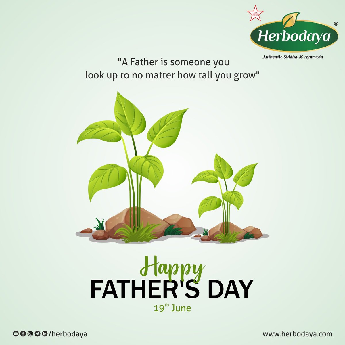 herbodaya's tweet photo. herbodaya Wishing all our beloved father a Happy
Father's Day!!

“Thank you for being there every day with just the love
and guidance I’ve needed. Everything you’ve taught me
has stuck with me and I’m lucky to have a dad like
you”

#HappyFathersDay #happyfathersday2022 #Herbodaya https://t.co/bMKTDSFMer
