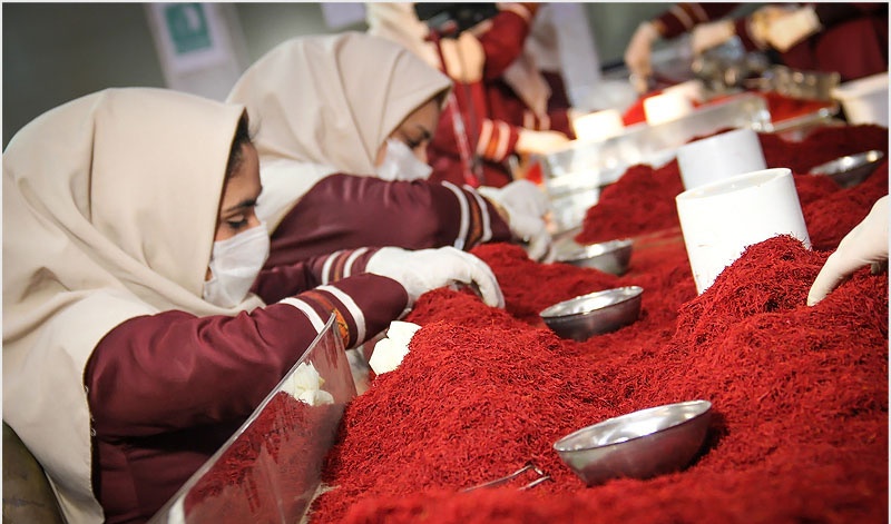 mmilad_abd's tweet photo. ایران،
بزرگترین صادرکننده زعفران در جهان.
The largest exporter of saffron in the world

#Iran_in_reality 
#Iran https://t.co/oJdQyxbf4E