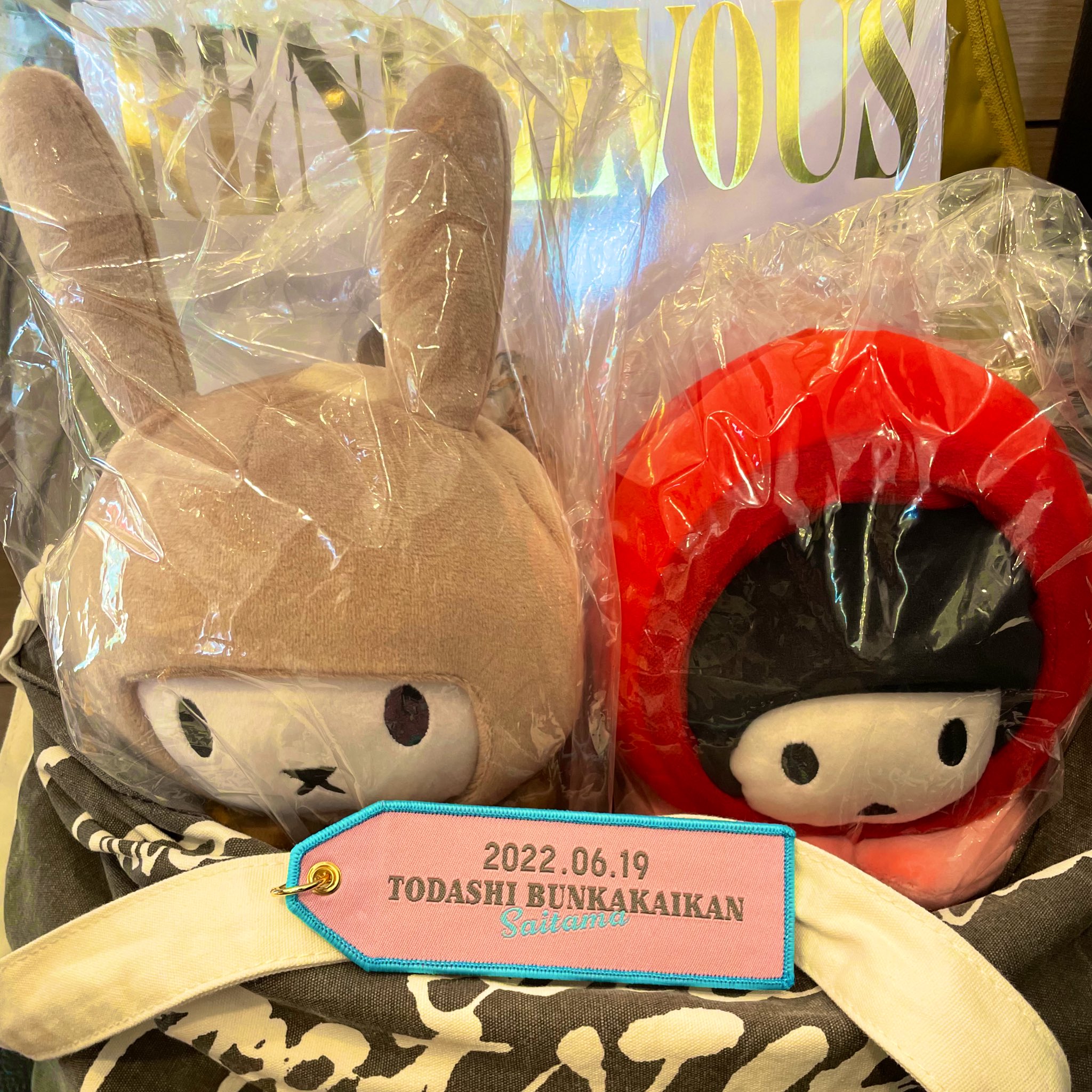 YUKI ゆきんこ ニールくん クッション 2個セット YUKI ゆきんこ ニールくん クッション 2個セット