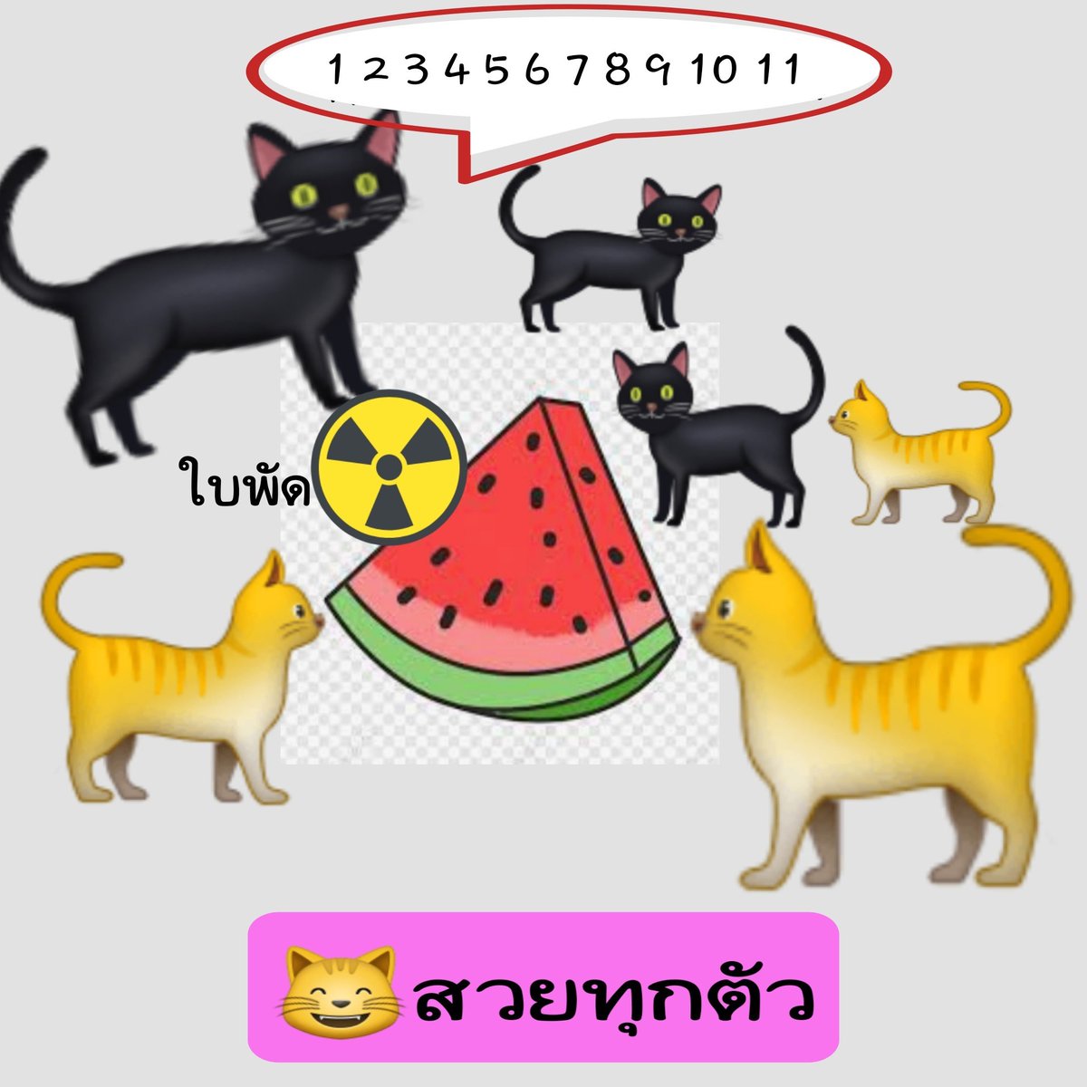jaaeza6's tweet photo. เมี๊ยวๆๆๆๆๆ ร้องเมี๊ยวๆเดี๋ยวเดียวก็มา คิดถึงแมวดำขี่หมี่&amp;แมวเผิ้ง แมวแสนสวยที่พากันหั่น🍉 แมวเป็นสัตว์ที่ทำความสะอาดกลบมูลเก่ง น่ารักขนฟู #แตงโมต้องได้รับความยุติธรรม  หมี่รักแมว😆 https://t.co/OBncRQSTwu