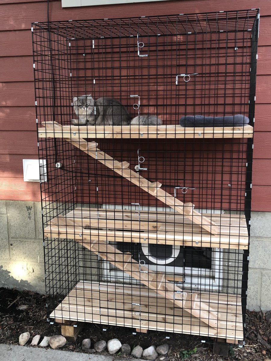 rachdev03's tweet image. Hey @ShinboiPUBG your cat moved out…before you.