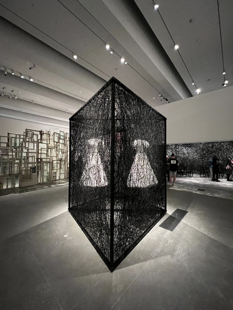 oh.yes.SunshineCoast tweet media