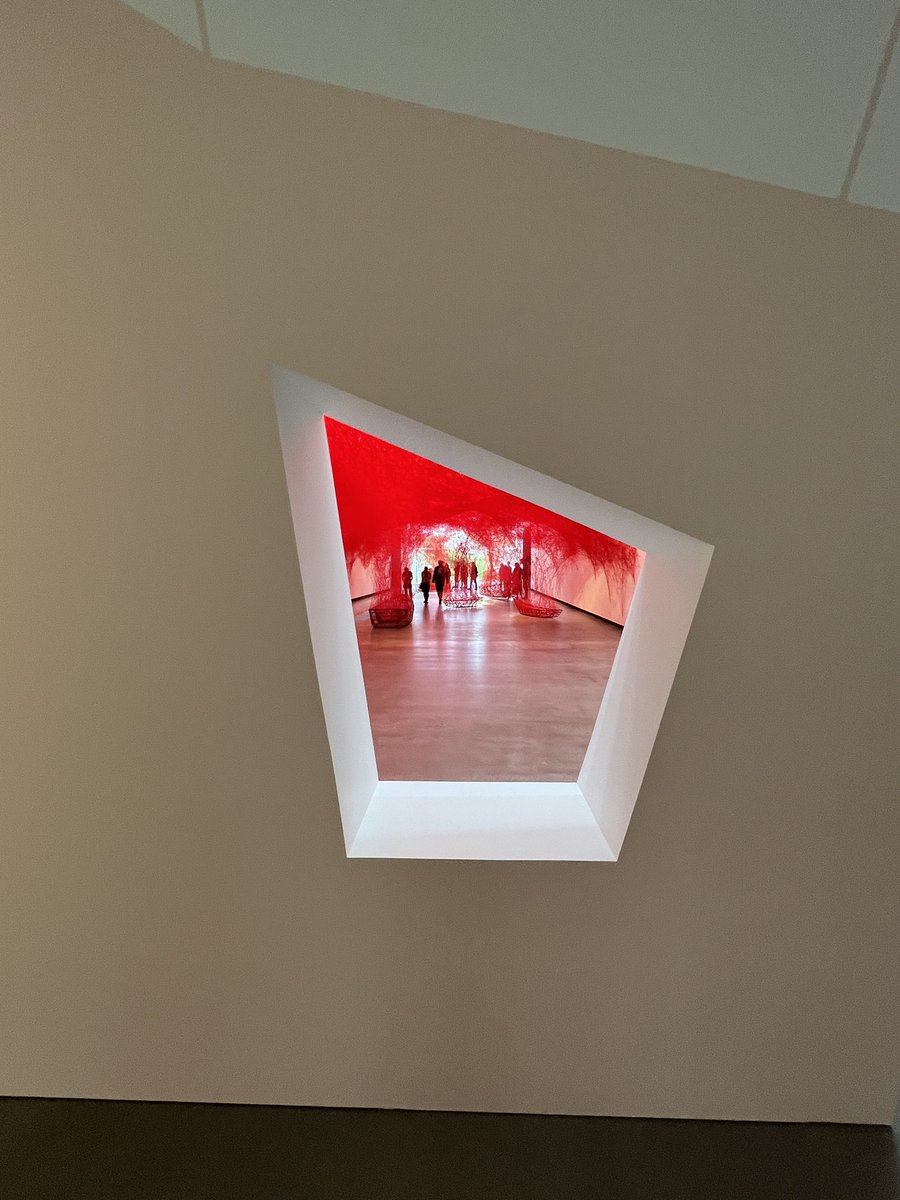 oh.yes.SunshineCoast tweet media