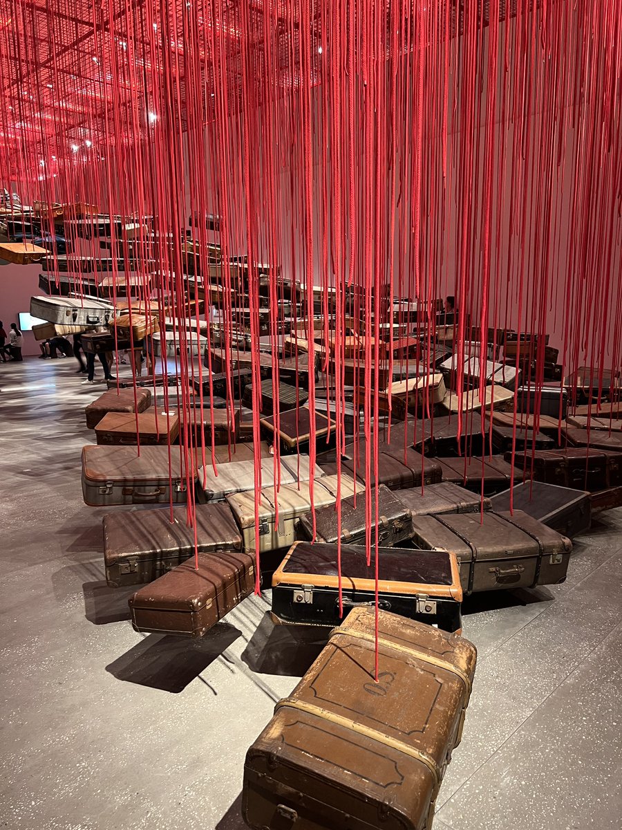 oh.yes.SunshineCoast tweet media