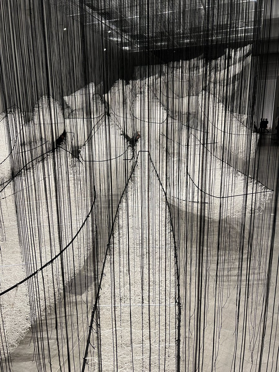 oh.yes.SunshineCoast tweet media