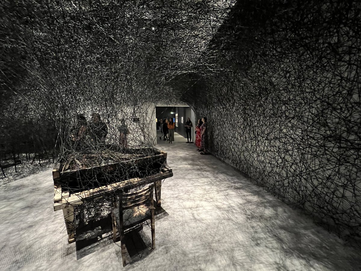 oh.yes.SunshineCoast tweet media