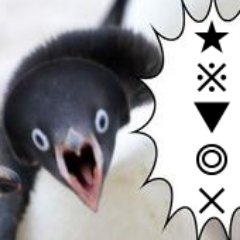 昨日アニシャドに出てきたウィンギーあの画像のペンギンに似てて笑ってた 