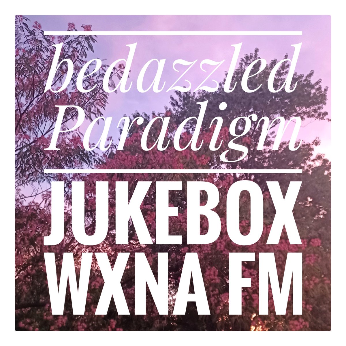 rhatfink's tweet photo. New music alert!! Nothing but new music this week on Bedazzled Paradigm Jukebox with DJ rhatfink only on WXNA Sun @7am &amp; Wed @6am. #tunein #blondie #theballroomthieves #elfpwer #shearwater #samredmore #rosiethorne #erichilton #thevolebeats #dadbod #todaysoutfit #thedreamsyndicate https://t.co/RLiCWgb2qy