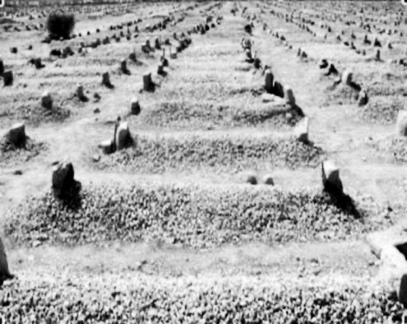 elseem17's tweet image. على قبر #أمي كُتب :"تنام هنا روح العائلة"💔😭