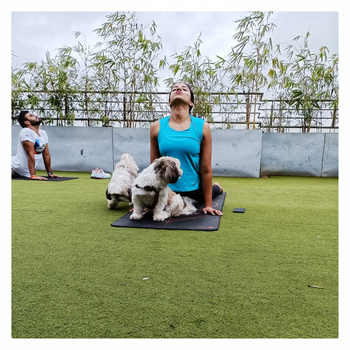 PepperIntComm's tweet photo. How we spent our #SundayMornings - #YogaWithDogs at Switch Wellness
#Yoga #YogaDay https://t.co/zzIN57N5lZ