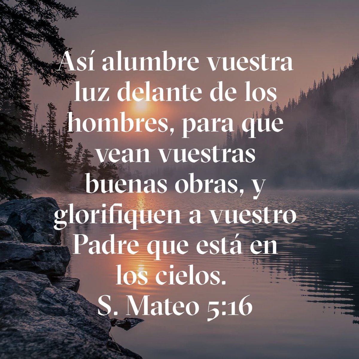 eframe77's tweet photo. ¿hay que escondernos? ¡JAMÁS! ¿hay que irnos lejos a las montañas? No, nuestras obras, nuestros hechos, nuestra conducta tienen que seguir brillando en medio de la sociedad que aunque unos hayan maldecido, Dios se encargará de mandar bendición. 
NJG
@iglesialldm 
#siempreunidos https://t.co/4Do8xIivYY
