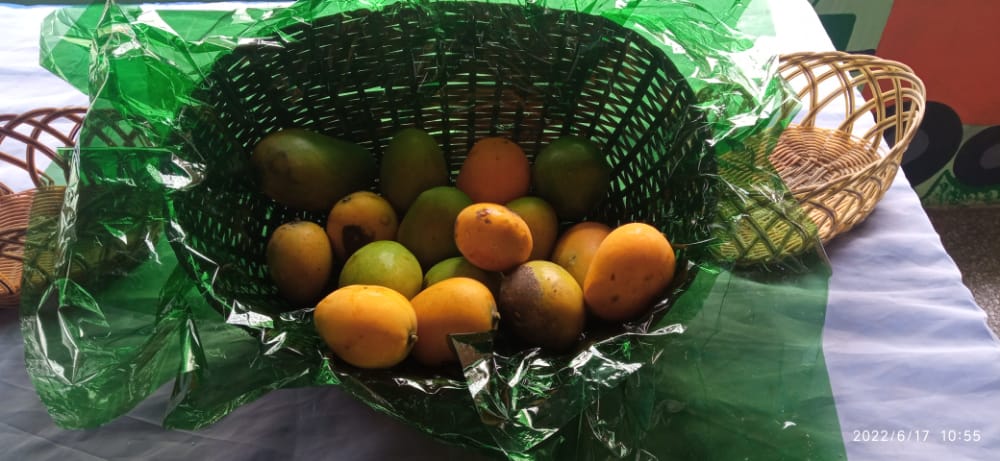 ceicerecitac17's tweet photo. 📌 CELEBRACIÓN DE LA FERIA DEL MANGO Y EL SANCOCHO 🍜🍲🍋 @MPPEDUCACION @educinicialmppe @zonaedusucre @_LaAvanzadora @ViceIP @NicolasMaduro https://t.co/bhvQ8wSVRz