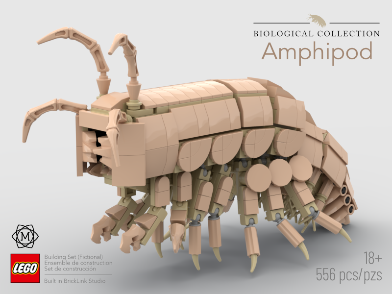 Dennis Sun tweet media
