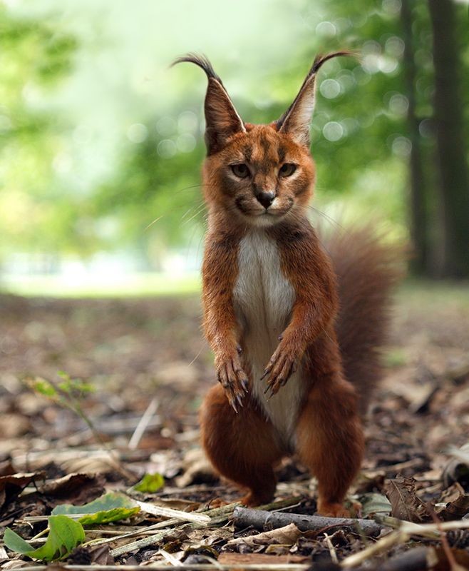 ㅤ
ㅤ
ㅤ@akanodazai 
ㅤHappy birthday ! 
ㅤ
ㅤ