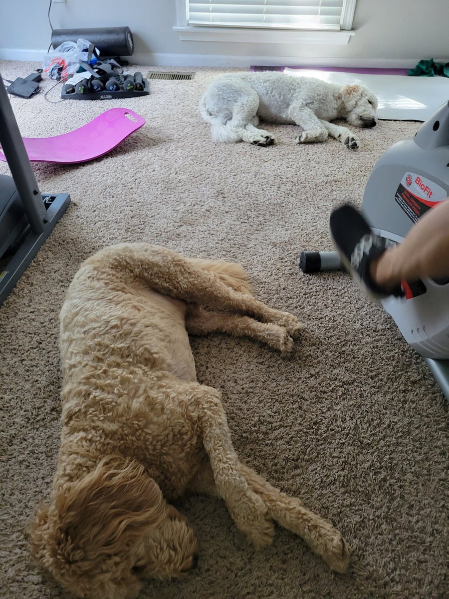 BeckyDollins's tweet photo. 1 hour in the pool and all my pool exercises then on to the bike for 10.3 miles followed by all my exercises and stretches!  I am feeling it tonight!  The doods were moral support as usual!  🤣 #beastmodebionicbeck #noexcuses #goals #imstrongenough #16seconds @nkcs_wellness https://t.co/AVZLFxJoQJ