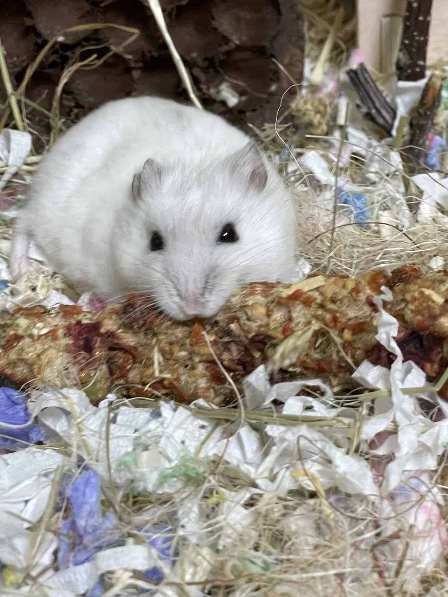 스매커.. 너무 좋아하는 ..