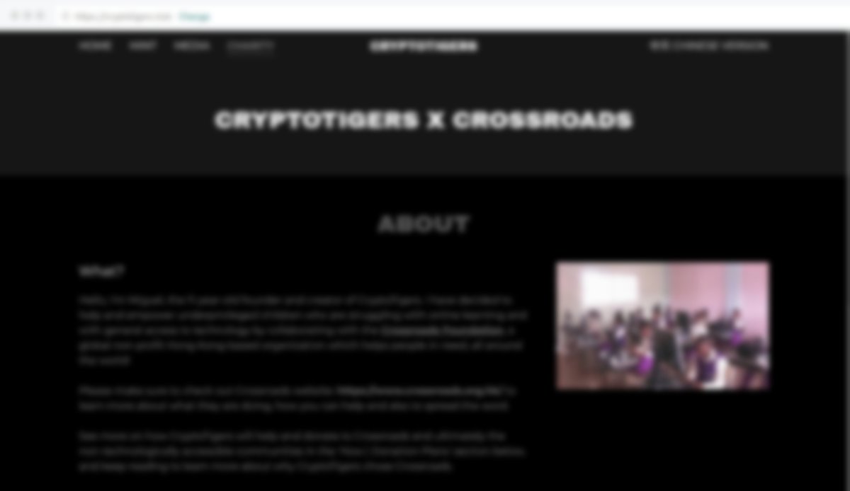 CryptoTigersNFT's tweet photo. New website page regarding CryptoTigers donating to charity will be published soon! https://t.co/8p7W9FAFRB