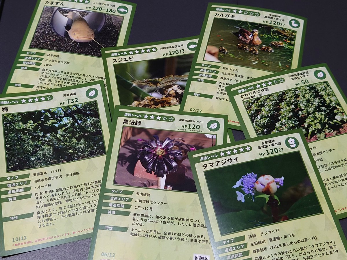 ggg_hydrangea's tweet photo. 平日に休みのない人はレア多摩スターはゲットできない罠
#たまたま多摩スター https://t.co/vy3qyafh7r