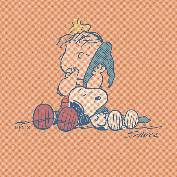 Have nice Sunday😇 Sleeping all day 😇#Sunday #SundayMotivation #SundaySleep #Relax #Snoopy <a href="/Snoopy/">PEANUTS</a> #SleepTime #SleepDay #Day