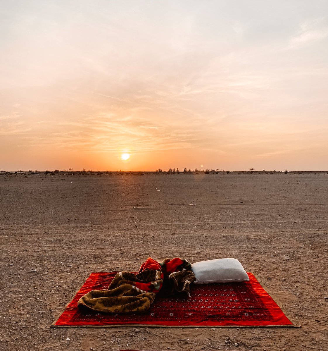 _photopoem1's tweet photo. "ودّعتُه عِنْدَ الغروبِ مُلوِّحًا
من يومِها كلّ الزمانِ غروبُ" https://t.co/Me4JGwEilt