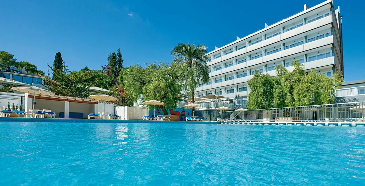 Handiscover tweet media