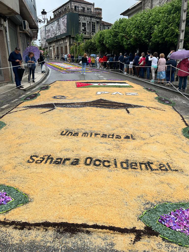 Enrique Gómez C (@enriquegc_sah) on Twitter photo Después de presentar ayer el libro, se hizo una “alfombra” en Pontareas y se reivindicó la causa saharaui con la portada del libro. Que cosa más bonita!!! saharaoccidental.es/libro Después de presentar ayer el libro, se hizo una “alfombra” en Pontareas y se reivindicó la causa saharaui con la portada del libro. Que cosa más bonita!!! saharaoccidental.es/libro