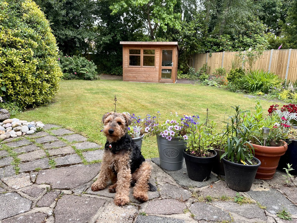 Happy Sunday pals.  There’s been a happening in da garden!  🐾🐾🏡
