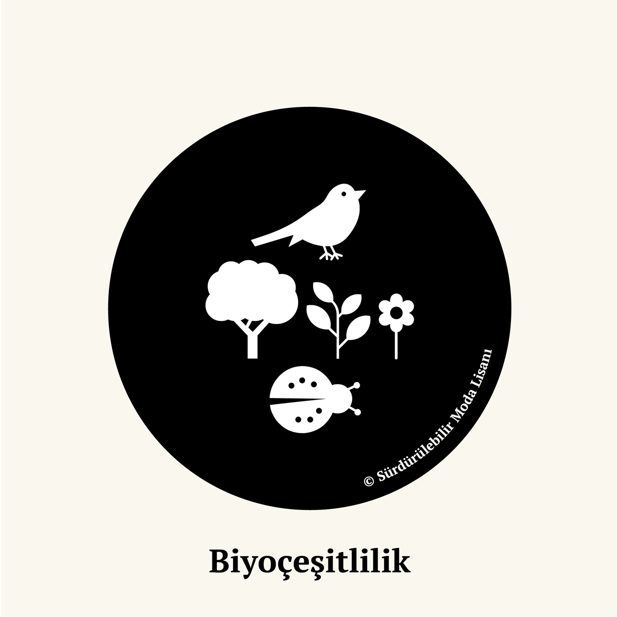LisanModa's tweet photo. “Biyoçeşitlilik” hakkında detaylı bilgi için:
https://t.co/w7MAuMmK6T

#önceyeryüzü #biyobozunurluk #biyoçeşitlilik #antroposen #iklimkrizi #karbonayakizi #küreselısınma #surdurulebilirmodalisani #rejeneratifmoda #sürdürülebilirlik #sürdürülebilirmodalisanı #surdurulebilirmoda https://t.co/T0gzMvjoy3