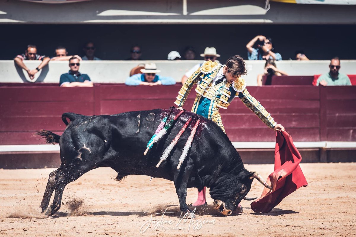 #Live 
🇫🇷 À Istres, El Rafi coupe une oreille à son premier toro de Fernay après une faena essentiellement droitière et une épée entière.