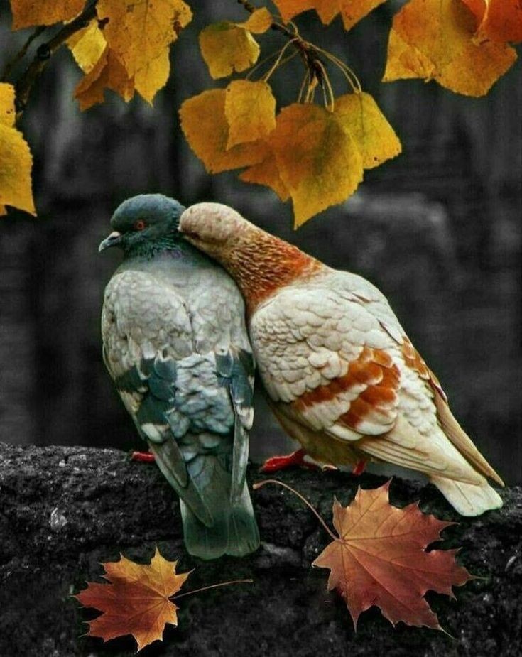 ucarkaradeniz's tweet photo. Sevdiğimiz insanlar elimizi tuttuğunda iyileşiriz biz.
İlaç merhametten sonra gelir.

Rabbim merhametli insanlar çıkarsın karşımıza. https://t.co/B7rApM2Fei