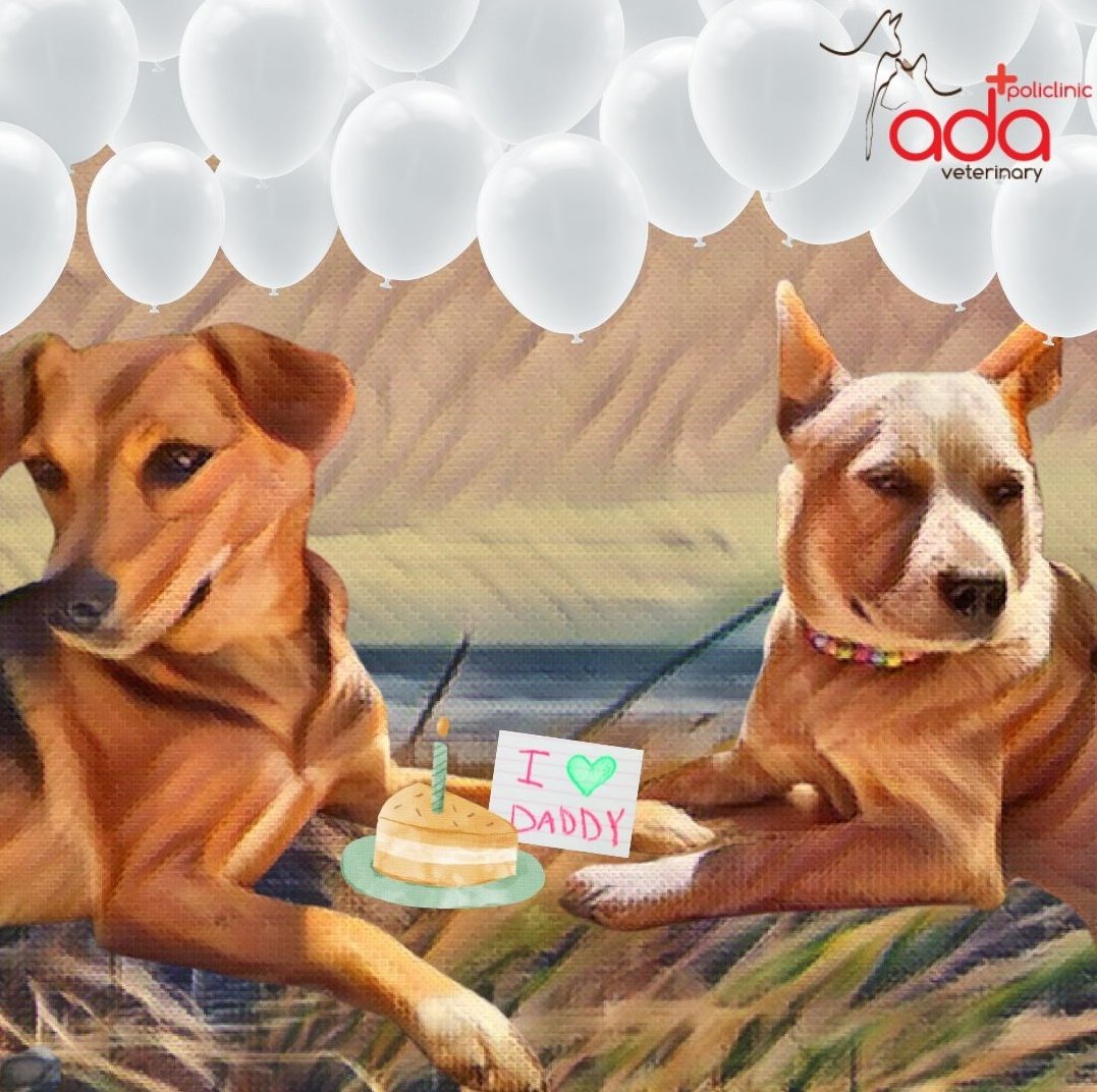 2 ayaklı veya 4 ayaklı çocukların süper kahramanları, babalarımızın gününü Kum ve Mimi ile beraber kutluyoruz🥳
#babalargunu