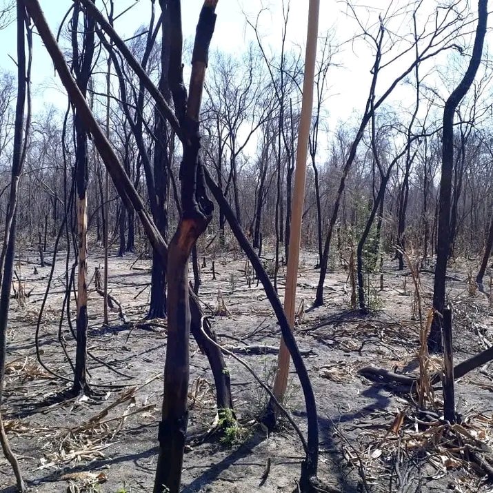 ZangoAbdoulRah2's tweet photo. Les défrichements consistent à transformer une terre couverte de végétation naturelle, de forêt le plus souvent, en une terre cultivable. Ils n'ont pas cessé depuis le néolithique . Cela peuvent être la cause du changement et du réchauffement climatique
#226climativist https://t.co/1TVsTRtToQ