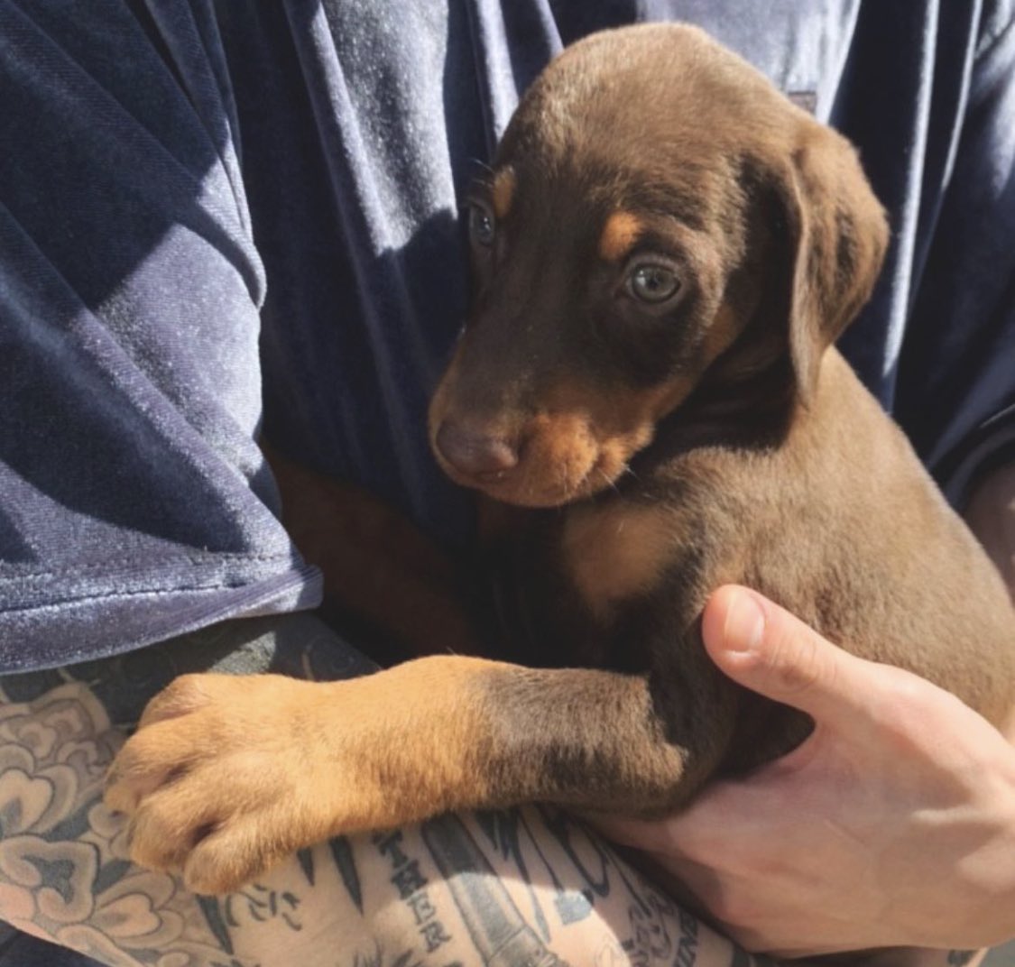 happy father’s day to dad kook