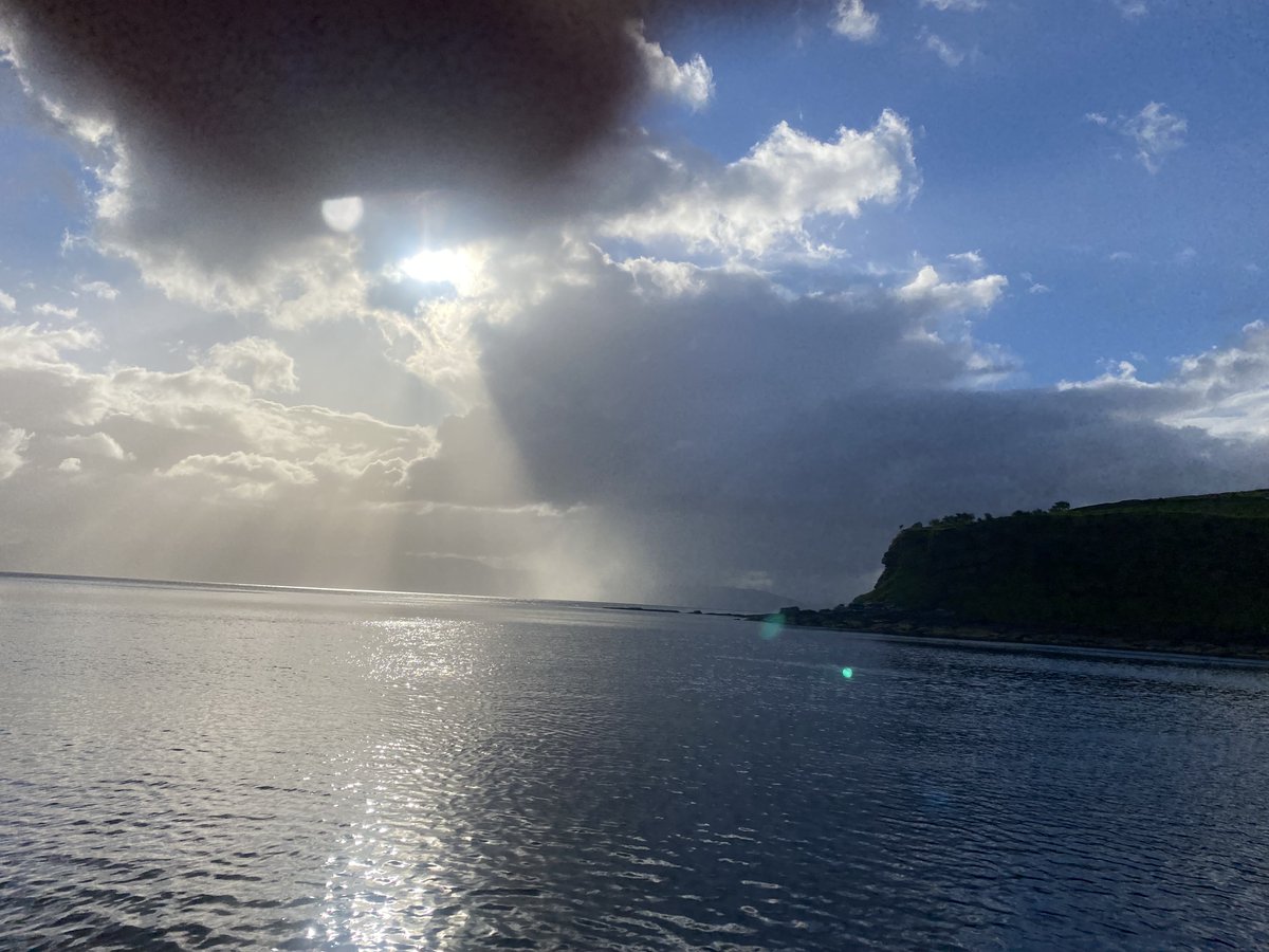 Northern Light tweet media