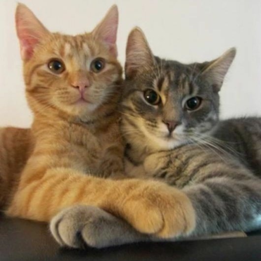 ً (@taebincats) on Twitter photo 