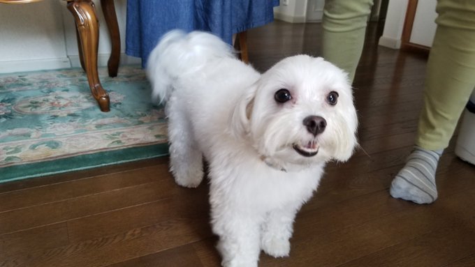 ç§ãæ±ããããã¡ãããæéŠã®ãšãã«çªè·¡æ®ããŸããw