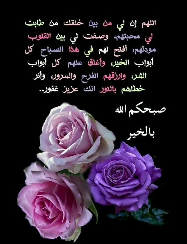 1j1j5's tweet photo. #البرنس_للدعم 
@bl7pl
@moj3l
@7M__f 
@Bga9A
@saurtx 
@ayl5___
@HJb8g 
@Mhos63 
@Aa_g2d 
@fajer262_
@mmg0707 
⚘
@je_____vip
@R_A_82020
@vip__sahran 
@77ameer7 
@n_oorr11 
@F_l_o_w_e_r2 
@A___R80 
@1_2_II 
@samt395
@8g_xn 
@S_y_S_1
@s_s_059 
@77sanhan
@Majed__02
@f1jlj 
@26Sahr https://t.co/z4h8lkDw3H