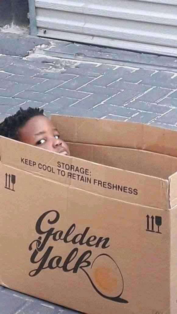 Madflava Pupu tweet media