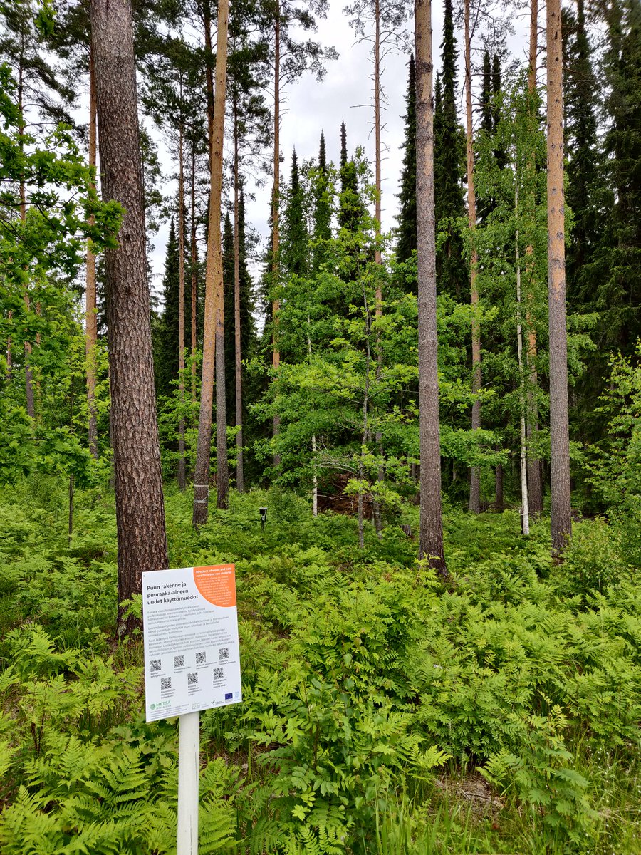 TJyske's tweet photo. Taitavat metsäoppaat kuten @elluruusu valmiina opastetuille kävelykierroksille huimissa Metsäbiotalouden näyteikkuna-  kohteissa, joissa pääsee tutustumaan QR-koodien takaa löytyviin @LukeFinland videoihin kestävän metsänkäytön &amp; uusien biotuotteiden tutkimuksesta #kiertotalous https://t.co/rQ9V7ZKUh0